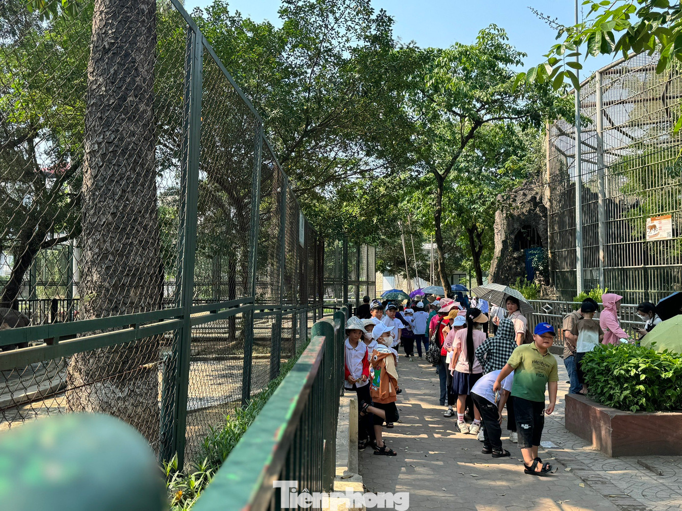 Tại Vườn thú Hà Nội (Công viên Thủ lệ), mặc dù thời tiết nắng nóng, du khách đến tham quan rất đông ngay từ những ngày đầu của kỳ nghỉ lễ
