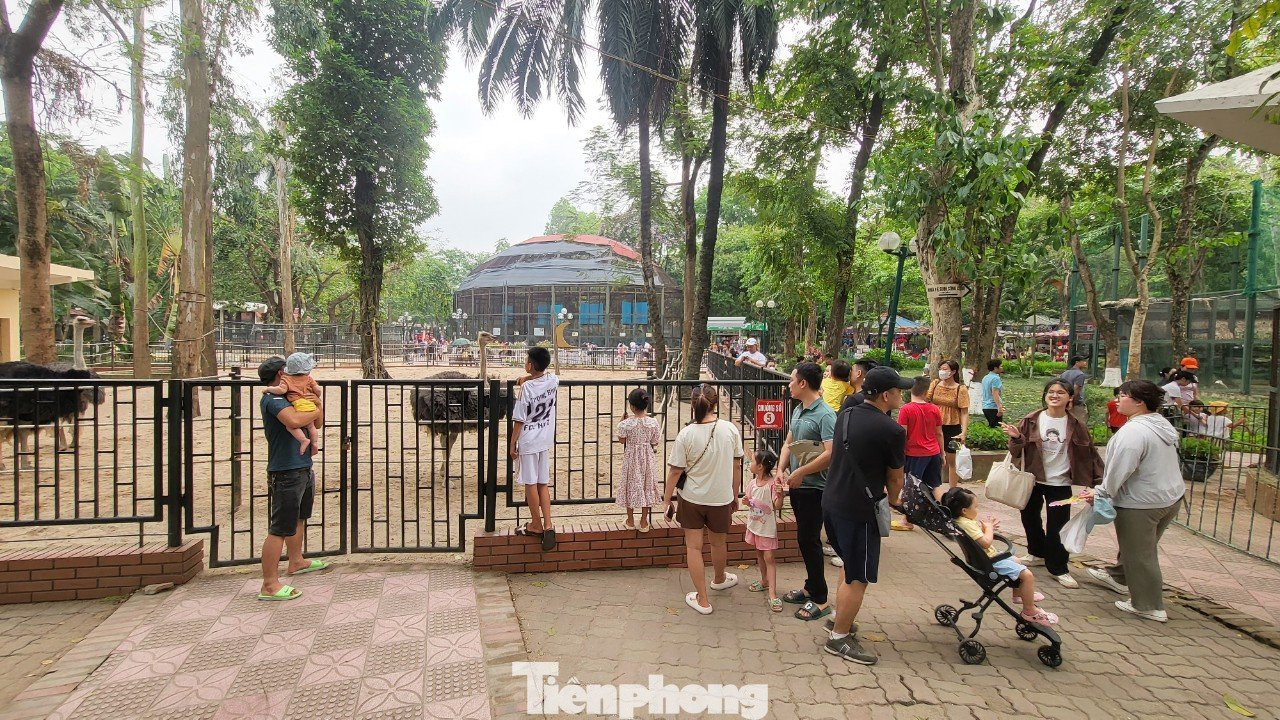 Đại diện UBND phường Ngọc Khánh cho biết, để chuẩn bị cho công tác đón du khách đến Vườn thú Hà Nội dịp nghỉ lễ, phường đã tổ chức các buổi ra quân xử lý trật tự đô thị xung quanh vườn thú; đề xuất cơ quan có thẩm quyền cấp phép cho các đơn vị có đủ điều kiện trông giữ phương tiện xung quanh vườn thú để đảm bảo theo đúng quy định của pháp luật.