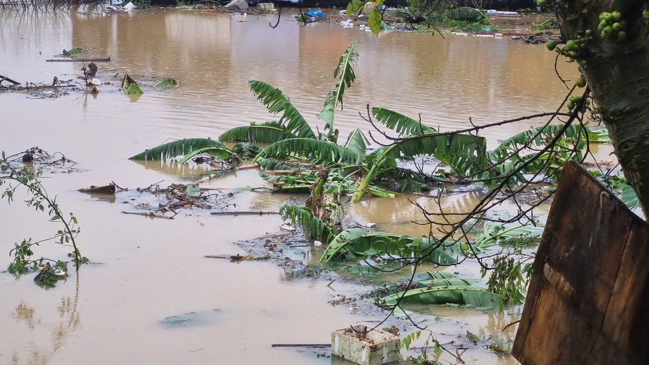 Toàn bộ người và tài sản của người dân bãi bồi đều được di dời ra nơi an toàn từ đêm qua. Toàn bộ người và tài sản của người dân bãi bồi đều được di dời ra nơi an toàn từ đêm qua.