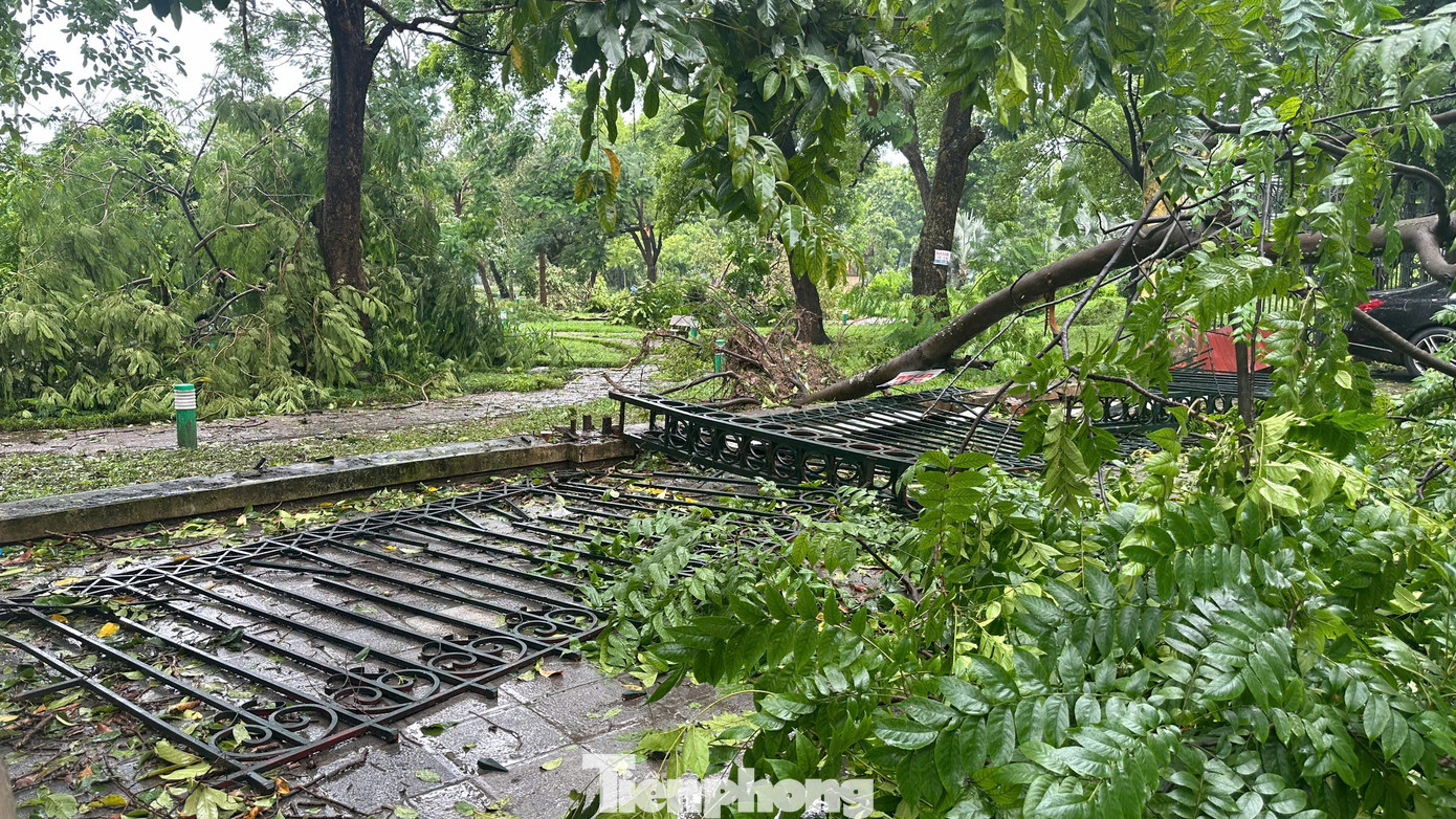 Tại Công viên Thống Nhất (quận Hai Bà Trưng, Hà Nội), cây, tường rào đổ nhiều