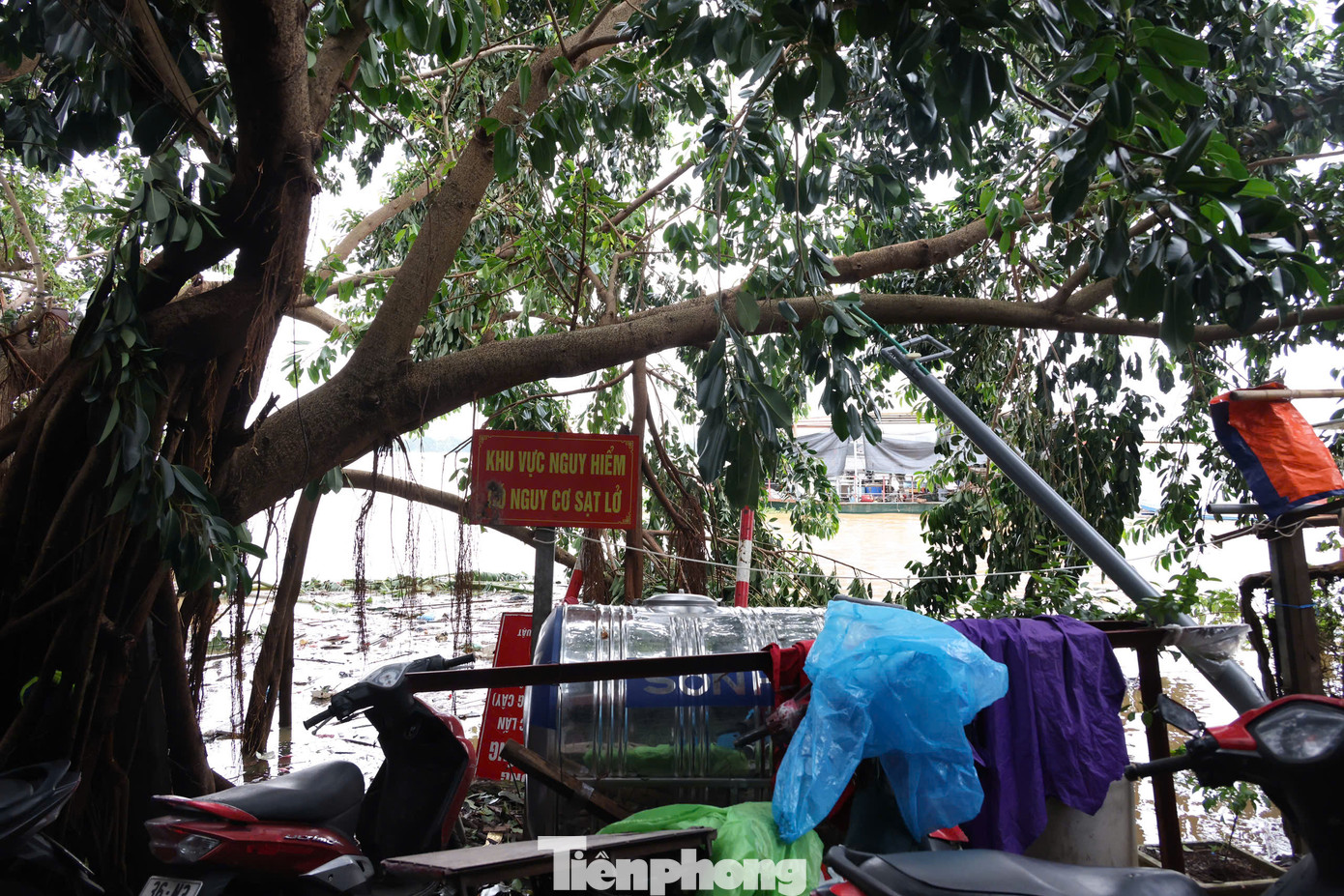 Vào ngày 9/9, 46 hộ dân nằm ở bờ vở sông Hồng đã được di dời. Do mực nước lên cao, các hộ còn lại được yêu cầu di dời ngay trong tối nay (10/9). Vào ngày 9/9, 46 hộ dân nằm ở bờ vở sông Hồng đã được di dời. Do mực nước lên cao, các hộ còn lại được yêu cầu di dời ngay trong tối nay (10/9).