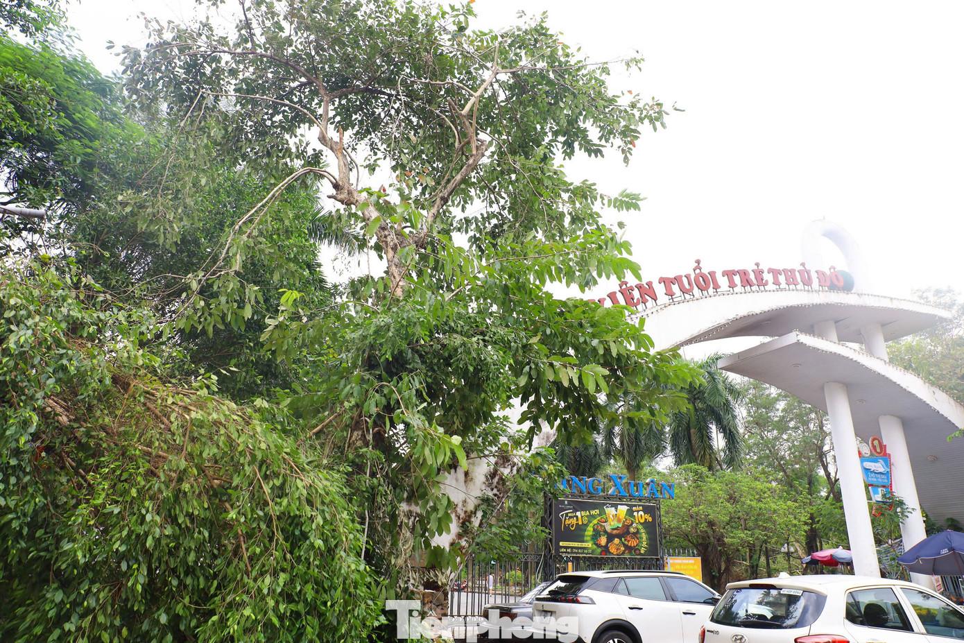 Ghi nhận của PV Tiền Phong tại Công viên Tuổi trẻ Thủ đô (quận Hai Bà Trưng, Hà Nội), nơi đây vẫn ngổn ngang như vừa sau cơn bão.