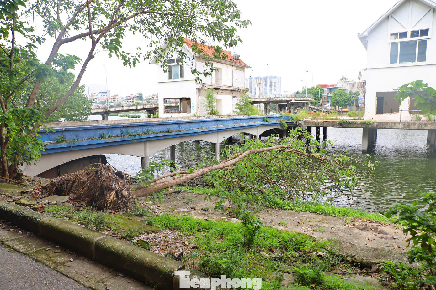Cây ngã đổ tại hồ của công viên từ sau bão nhưng chưa được dọn dẹp. Theo UBND quận Hai Bà Trưng, Công viên Tuổi trẻ đang được tận dụng làm nơi tập kết cây gãy đổ.