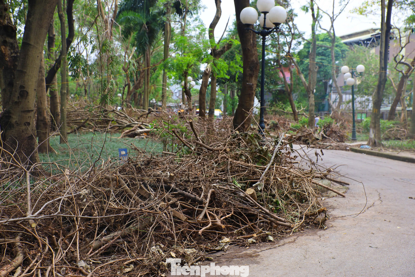 Toàn bộ lực lượng được ưu tiên dọn dẹp đường phố, đảm bảo giao thông. Sau khi hoàn thành thu dọn, phong quang đường phố. Khuôn viên công viên Thống Nhất sẽ được xử lý sớm