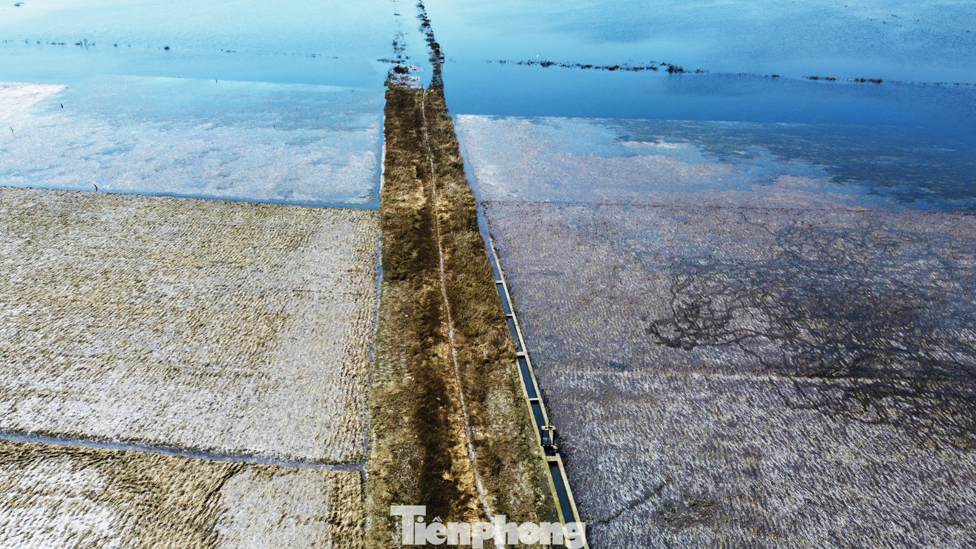 Trao đổi với PV Tiền Phong, đại diện Phòng Kinh tế (huyện Sóc Sơn) cho biết đơn vị đang tổng hợp báo cáo thiệt hại về lúa, rau màu. Đến ngày 26/9 sẽ có báo cáo cụ thể. Trao đổi với PV Tiền Phong, đại diện Phòng Kinh tế (huyện Sóc Sơn) cho biết đơn vị đang tổng hợp báo cáo thiệt hại về lúa, rau màu. Đến ngày 26/9 sẽ có báo cáo cụ thể.