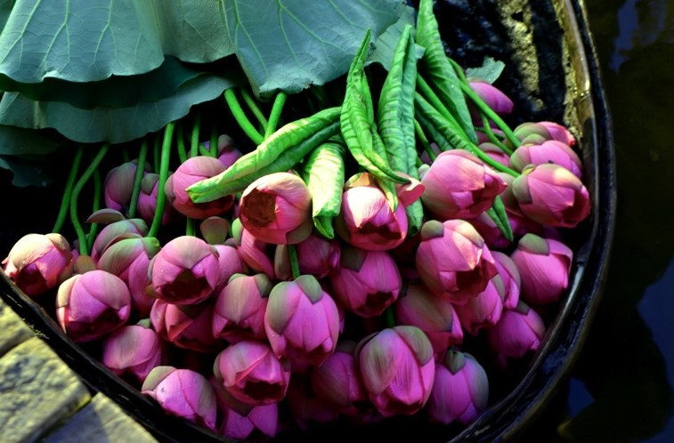 Ảnh minh họa Ảnh minh họa