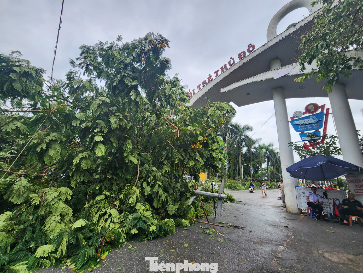 Công viên Tuổi trẻ Thủ đô (quận Hai Bà Trưng, Hà Nội) ngày 8/9 bị cây đổ chặn gần hết lối vào