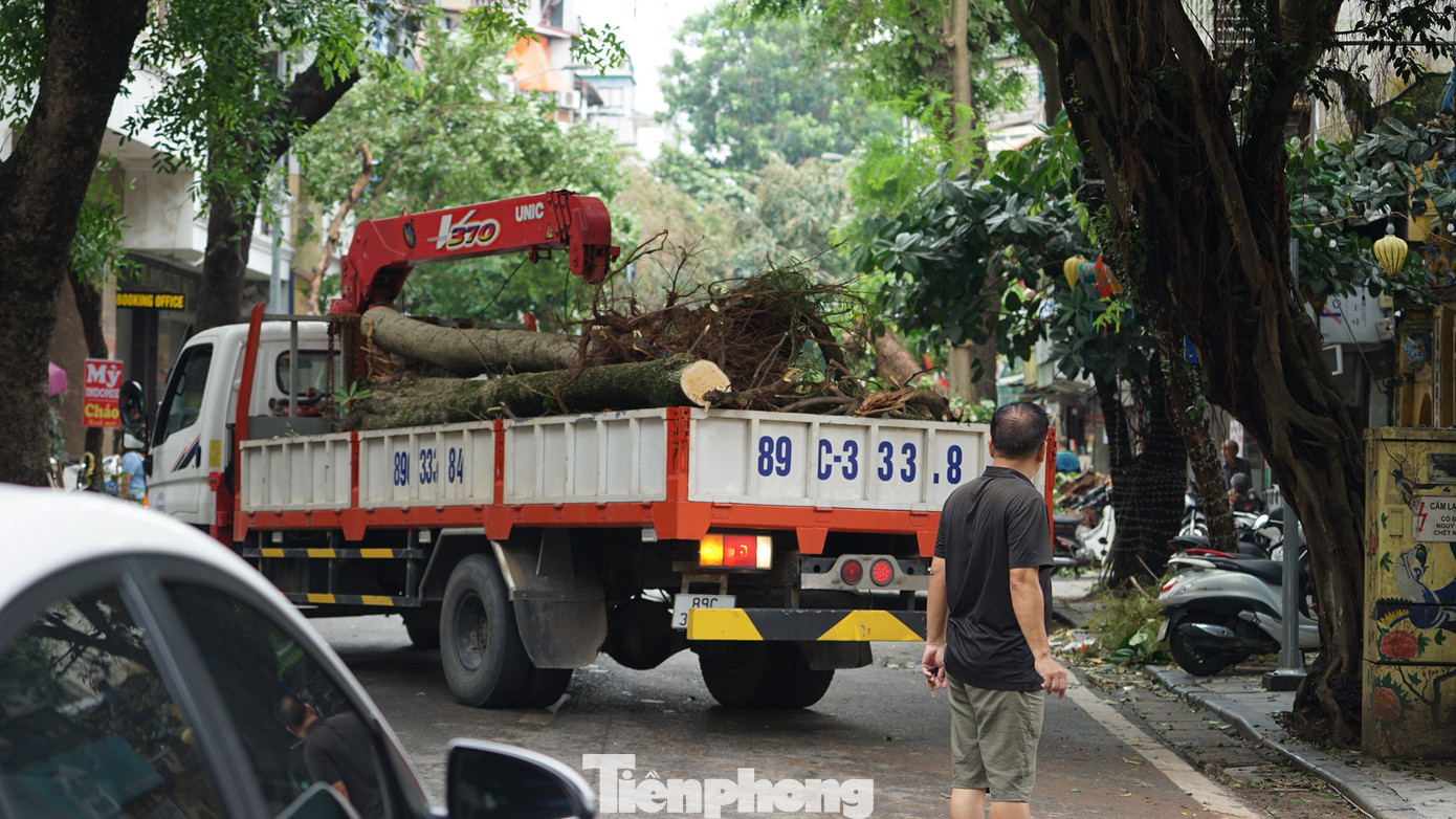Xe cây xanh chạy hết công suất để dọn dẹp trên các tuyến phố.