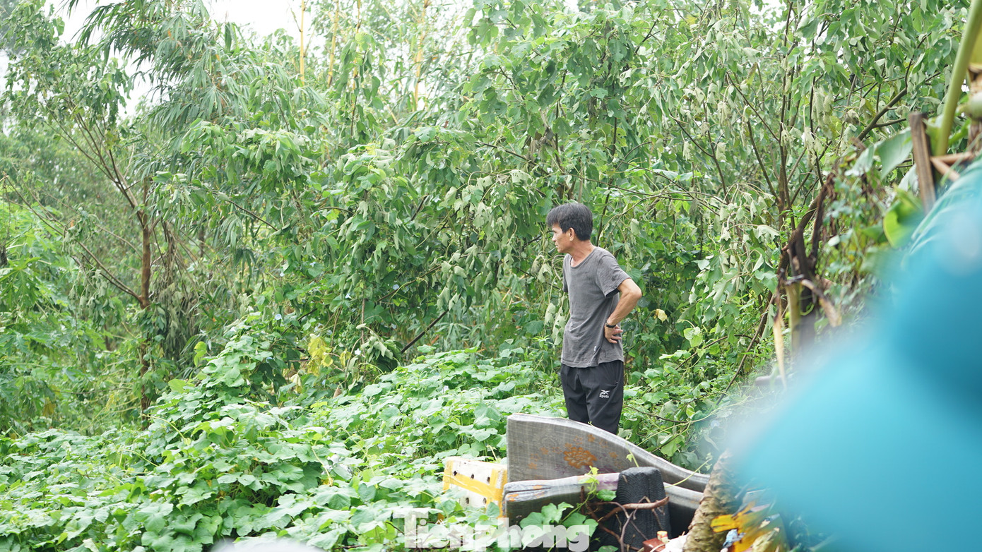 "Công tác di dời người dân đã hoàn thành, công tác chuẩn bị cho mực nước sông Hồng lên báo động 1 cũng đã sẵn sàng, đảm bảo an toàn nhất cho người dân. Chúng tôi cũng đang bám sát tình hình để có chỉ đạo sâu sát nhất", bà Hằng chia sẻ.