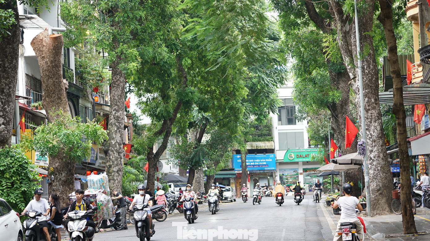Trên phố Lò Đúc (phường Phạm Đình Hổ, quận Hai Bà Trưng), đường phố đã phong quang trở lại. Trên phố Lò Đúc (phường Phạm Đình Hổ, quận Hai Bà Trưng), đường phố đã phong quang trở lại.