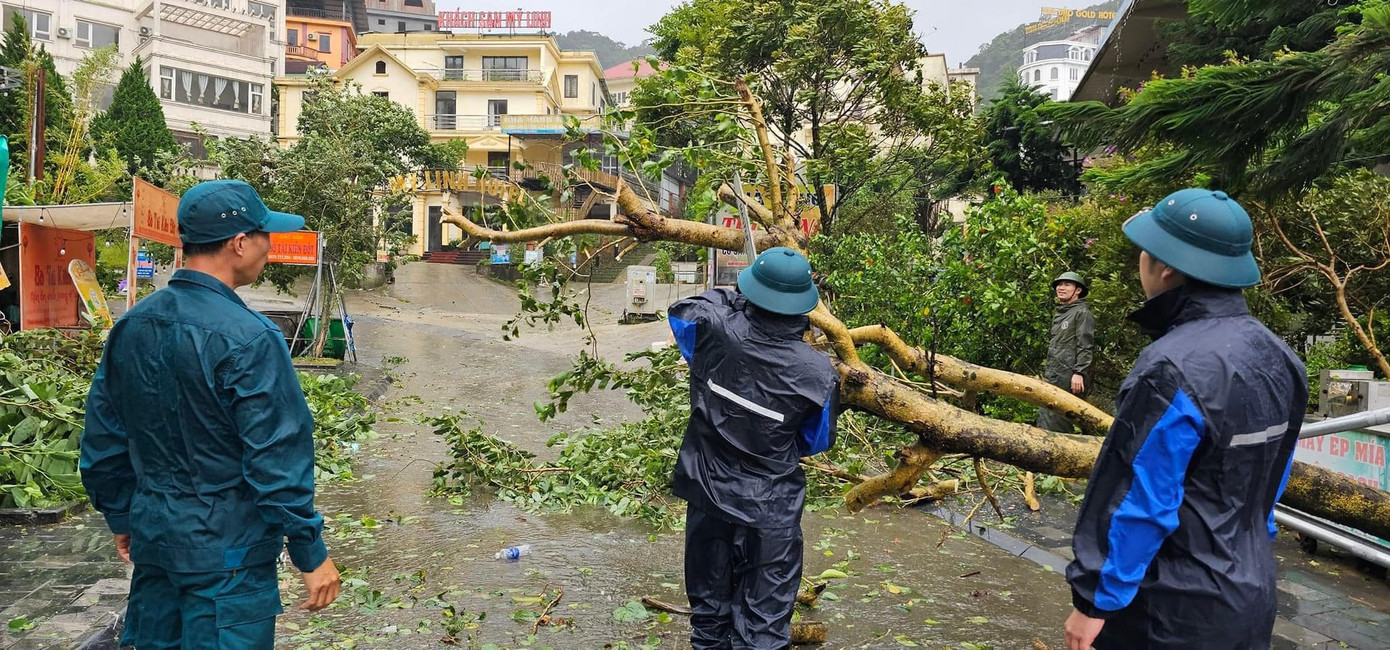 Cây gãy đổ trên thị trấn Tam Đảo. Ảnh: Cao Phong Cây gãy đổ trên thị trấn Tam Đảo. Ảnh: Cao Phong