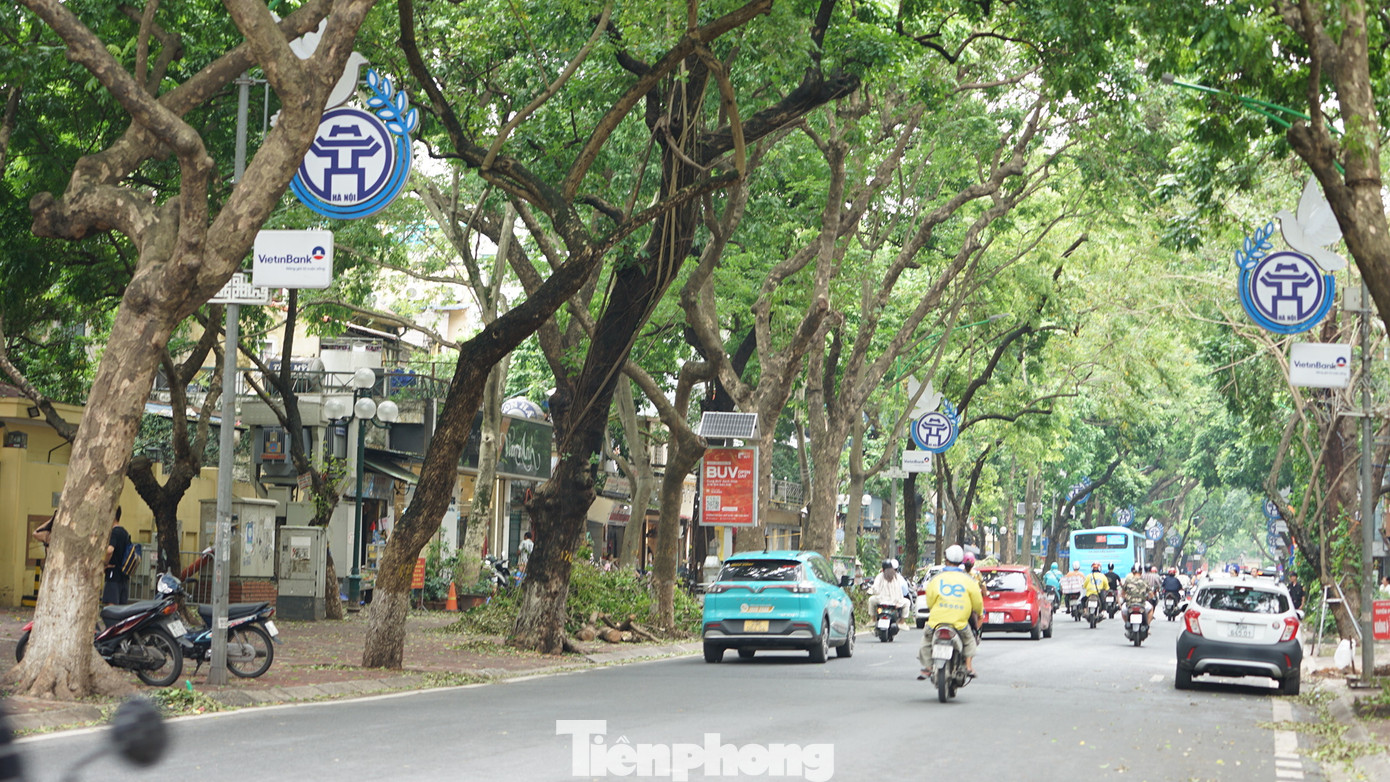 Dự kiến đến trước 15/9 sẽ vận chuyển xong, giải phóng toàn bộ địa bàn.