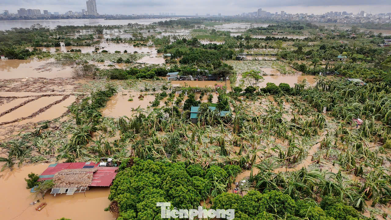 Khu vực bãi giữa sông Hồng hiện đã ngập trong nước.