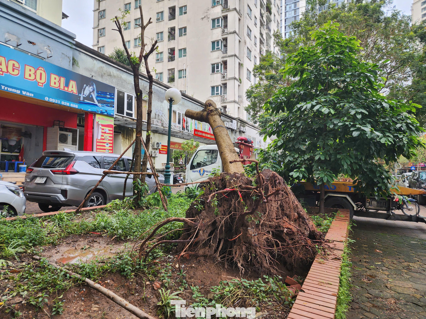 Hai tuần sau bão số 3, một số khu đô thị trên địa bàn TP Hà Nội vẫn ngổn ngang cây gãy đổ, chưa được thu dọn. Hai tuần sau bão số 3, một số khu đô thị trên địa bàn TP Hà Nội vẫn ngổn ngang cây gãy đổ, chưa được thu dọn.