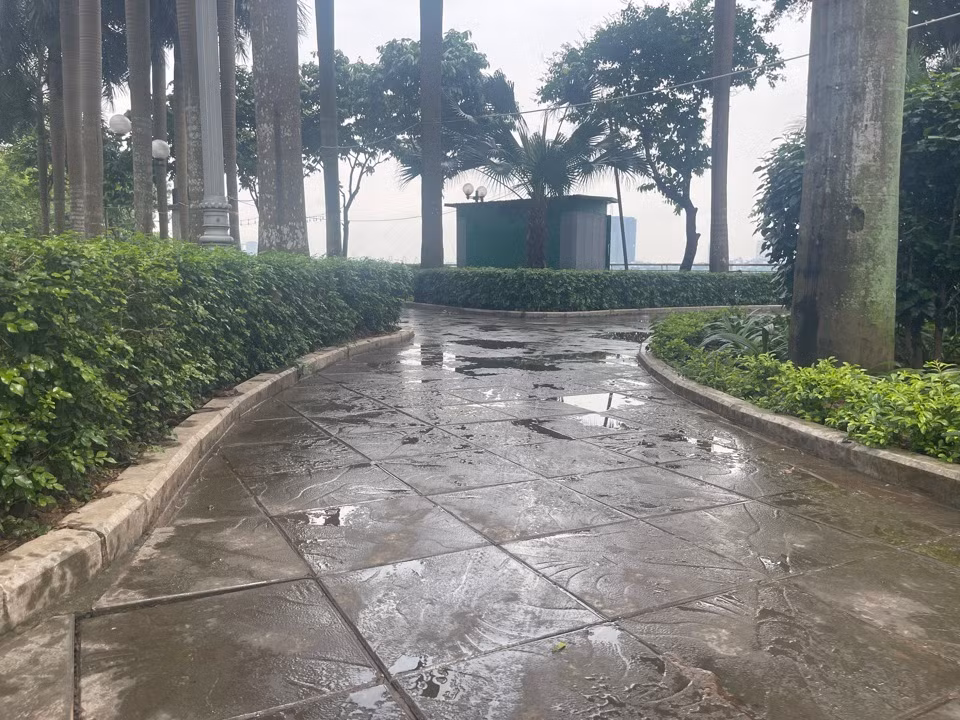 Dầu loang lổ trên đường dạo vườn hoa, gây trơn trượt, nguy hiểm cho người dân. Ảnh: Vân Nhi
