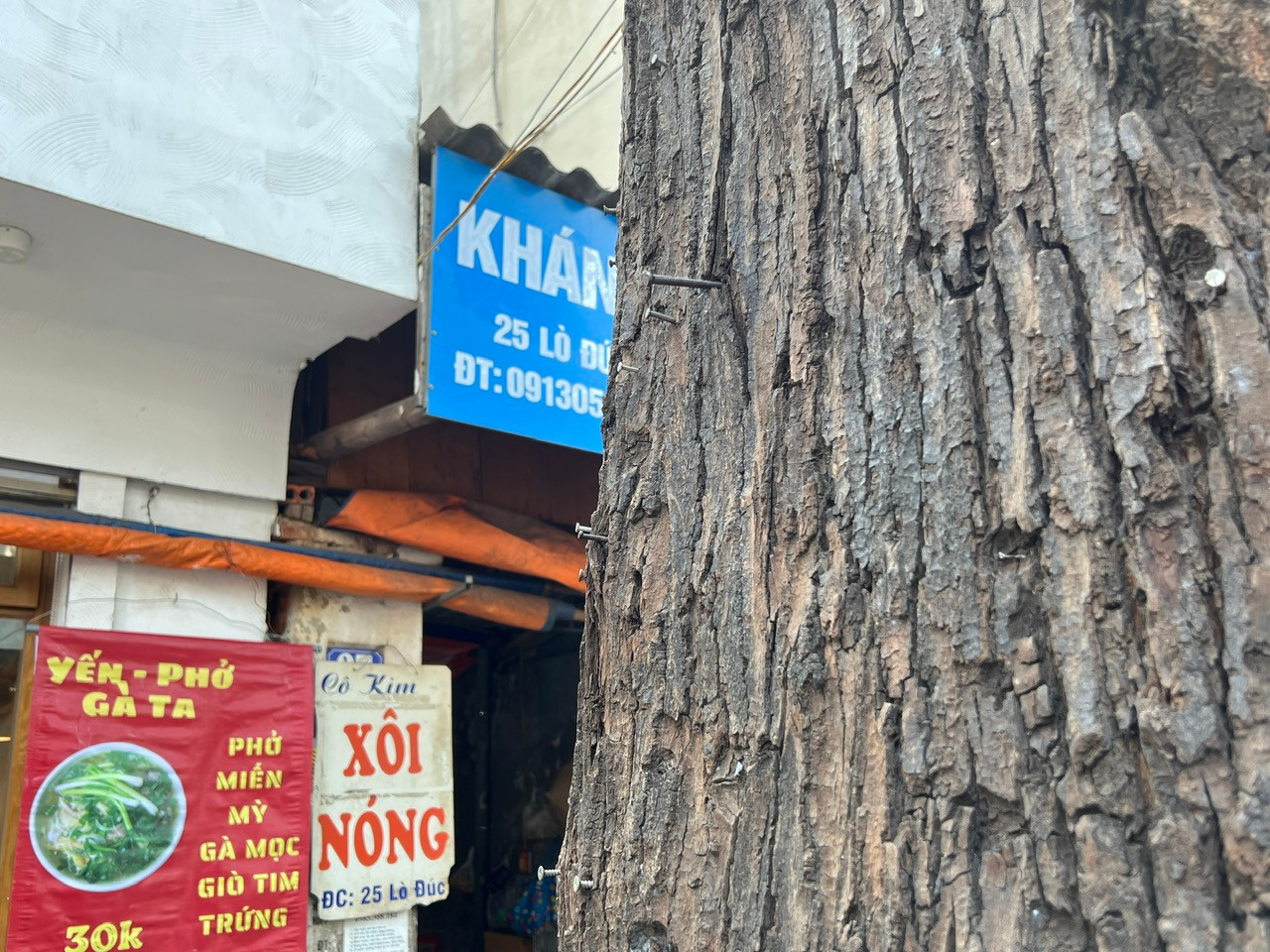 Sau khi tháo dỡ bảng quảng cáo, đèn trang trí, trên cây chỉ còn trơ lại loạt đinh treo