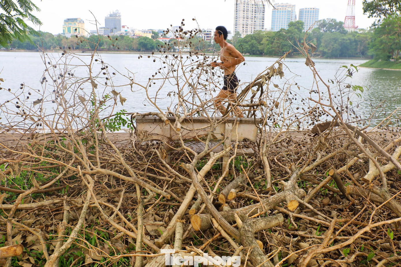 "Với lượng cành lá lớn còn đang tập kết thì đơn vị sẽ lên phương án chi tiết để huy động các xe chuyên nghiệp, có tải trọng lớn để khi vận chuyển đảm bảo chở được khối lượng lớn và nhanh nhất có thể", đại diện quận Hai Bà Trưng thông tin.