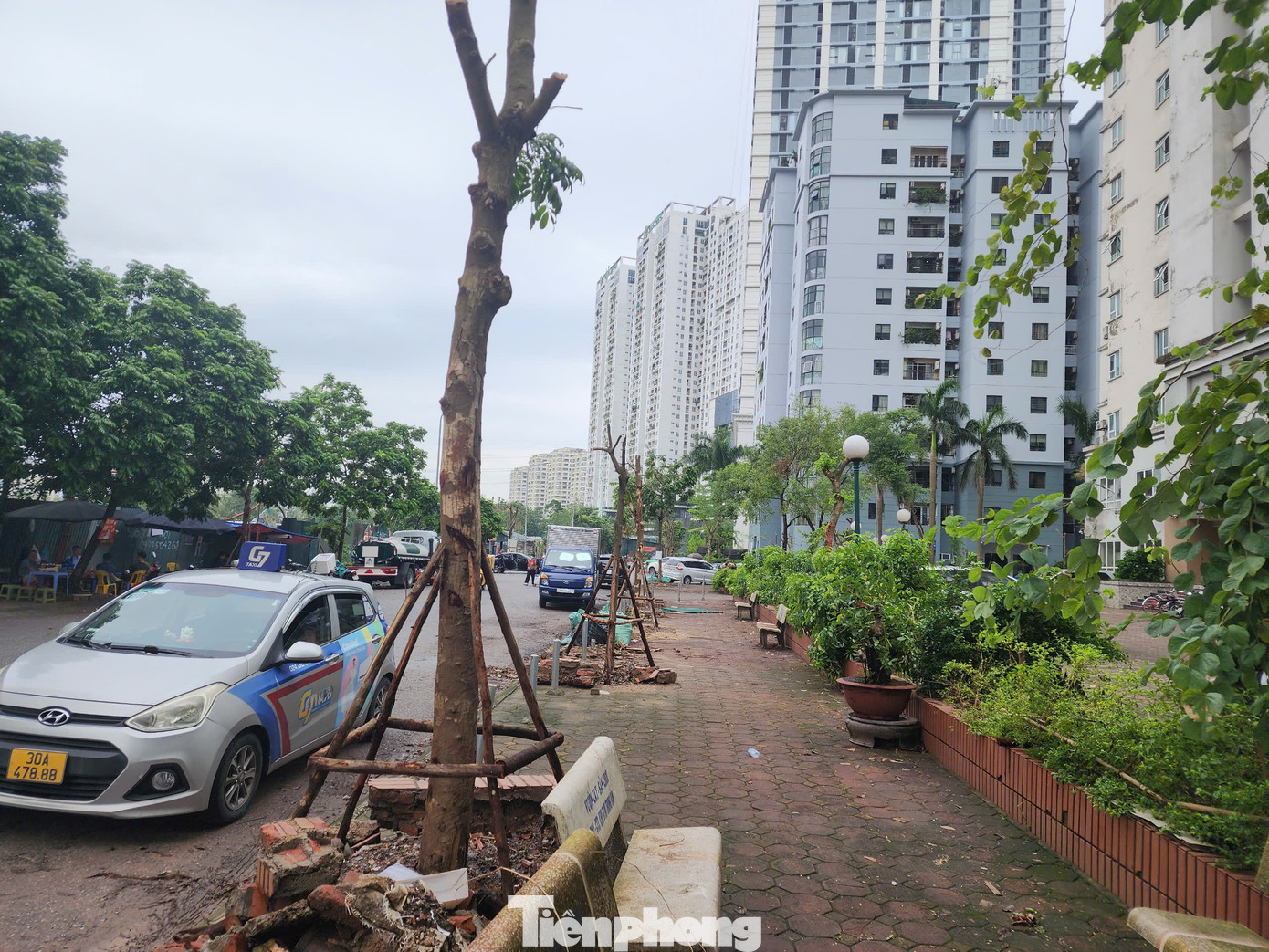 "Chi bộ, tổ dân phố, các trưởng ban quản trị tòa nhà đã họp lại, chung tay cứu cây. Thuê người dựng cây, chặt cành lá mất gần 30 triệu đồng. Đến nay cơ bản vỉa hè cây xanh đã ổn định", bà Tuyến nói. "Chi bộ, tổ dân phố, các trưởng ban quản trị tòa nhà đã họp lại, chung tay cứu cây. Thuê người dựng cây, chặt cành lá mất gần 30 triệu đồng. Đến nay cơ bản vỉa hè cây xanh đã ổn định", bà Tuyến nói.