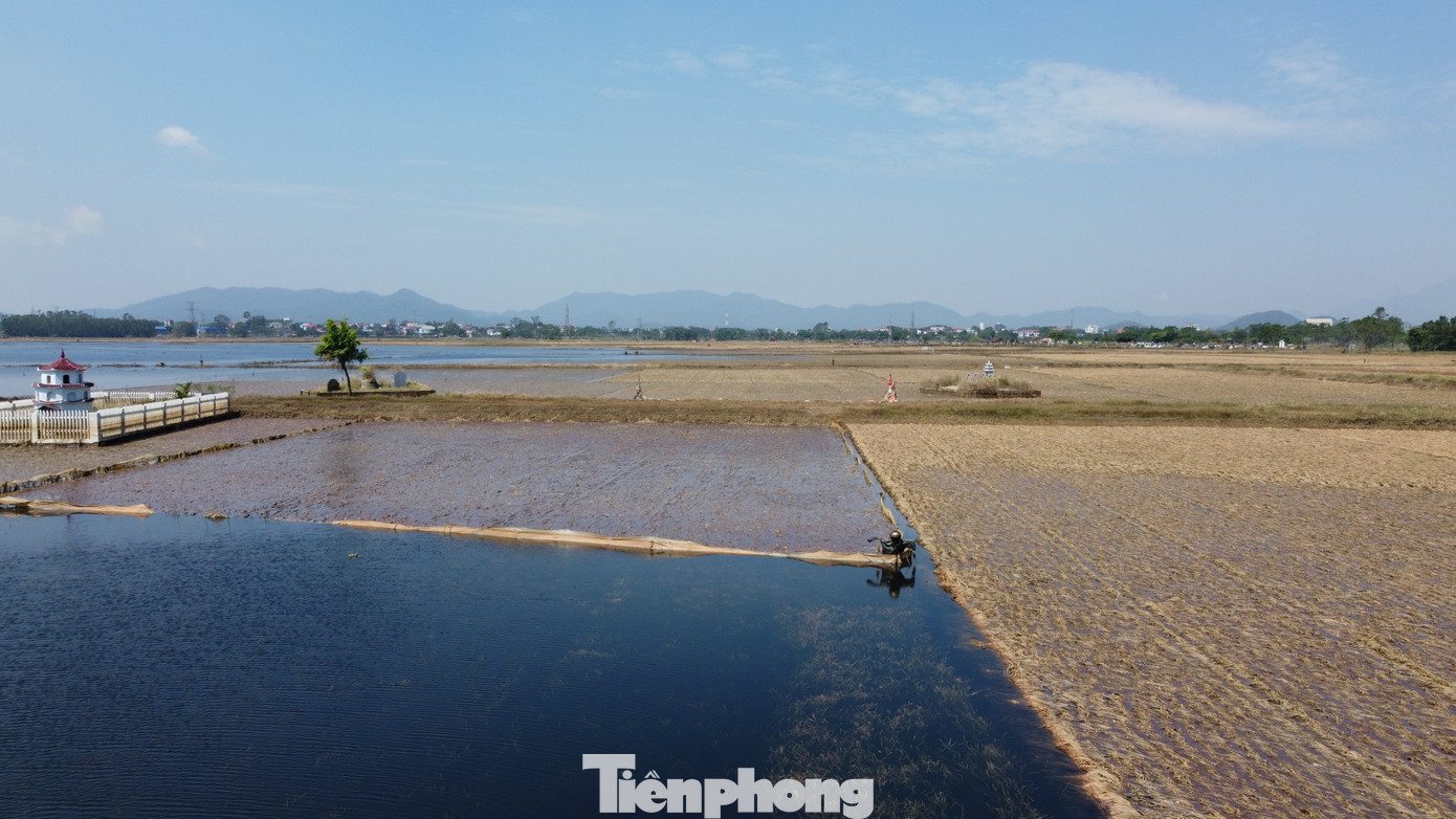 Nhiều ha lúa vẫn ngập trong mênh mông bể nước. Nhiều ha lúa vẫn ngập trong mênh mông bể nước.
