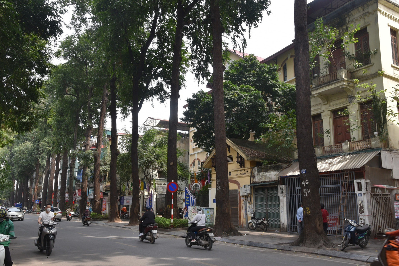 Phố Lò Đúc là phố có nét đặc trưng của Hà Nội bởi ở đây được trồng hàng chục cây sao đen, có cây tuổi đời lên tới cả trăm năm. Hiện dãy phố có hàng chục cây sao đen cổ thụ đường kính từ 80-90 cm, cao hơn 20m, thân cao vút thẳng đứng, tán lá xanh tươi tỏa bóng.