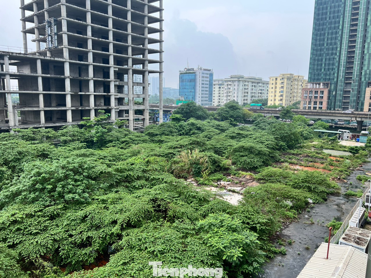 Tòa nhà Trung tâm Điều hành và Giao dịch của Tổng Công ty Xi măng Việt Nam (Vicem) nằm ở vị trí đất “vàng”, cạnh đường vành đai 3, tòa nhà Keangnam thuộc khu vực sầm uất hàng đầu Hà Nội, sau hơn chục năm khởi công, vẫn hoang tàn. Khu nhà làm việc của dự án gần như chìm giữa "rừng" cỏ hoang.