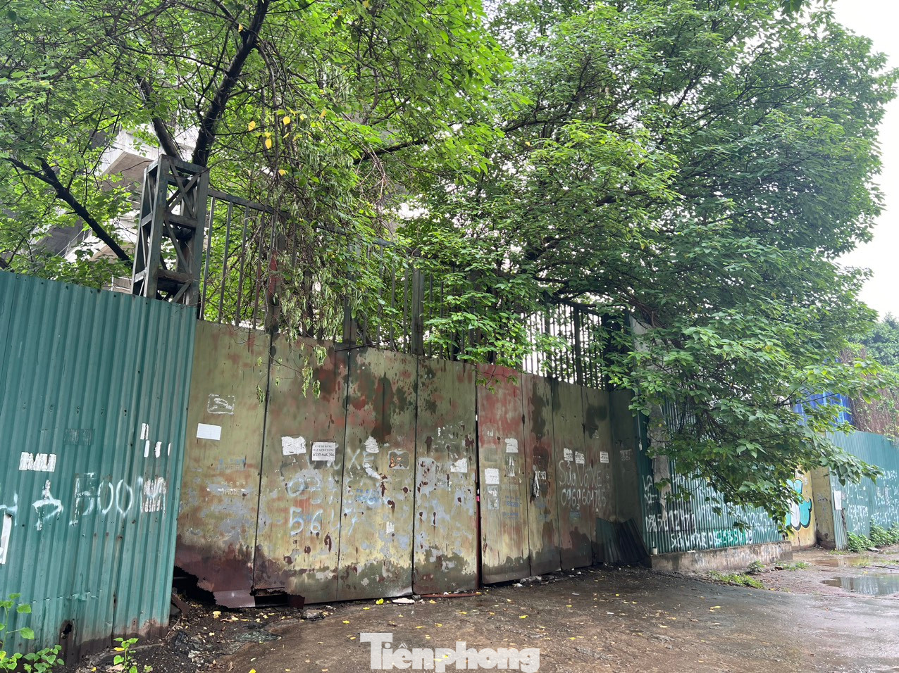 Đại diện Vicem cho biết, sau khi xây dựng xong phần thô, do thực hiện chỉ đạo dừng đầu tư ngoài ngành, cơ cấu lại đầu tư nên công trình đành bỏ dở.