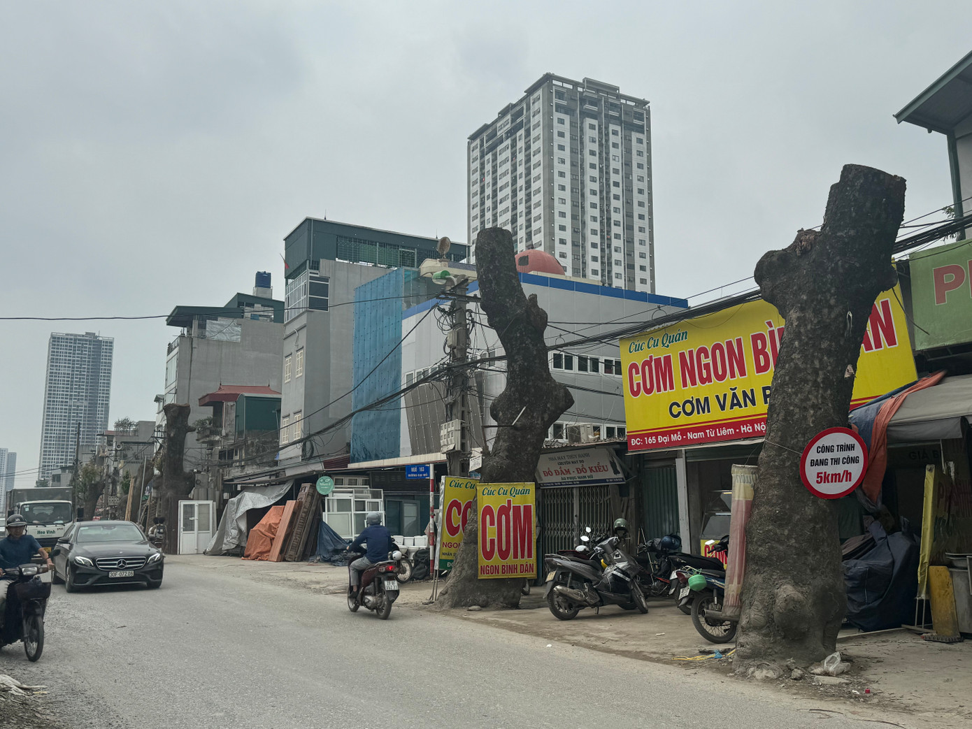 Được biết, trước đó đợt 1 của dự án đã chặt hạ hàng chục cây xà cừ phía đối diện. Đợt này sẽ có 14 cây xà cừ bị chặt hạ phục vụ dự án. Trong đó có 2 cây đánh chuyển, số cây còn lại được đấu giá.