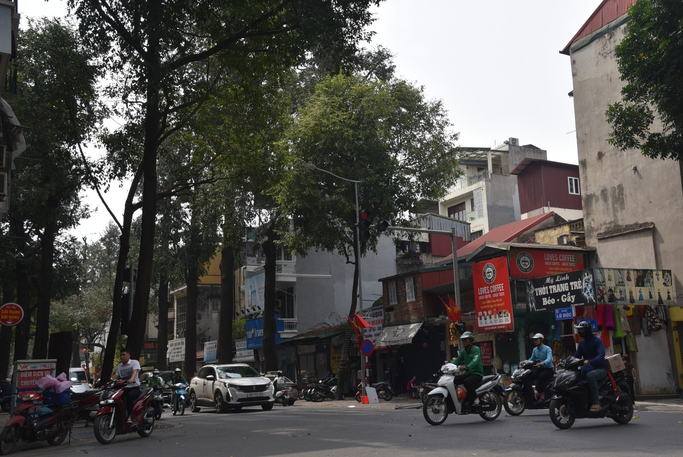 Trước đó năm 2019, một số người dân đã trình báo phường cây trước nhà số 71 bị "đầu độc" bằng đổ xi măng và axit. Trong khi chính quyền chưa có câu trả lời thì lại có thông tin cây sao trước nhà số 65 bị chết.