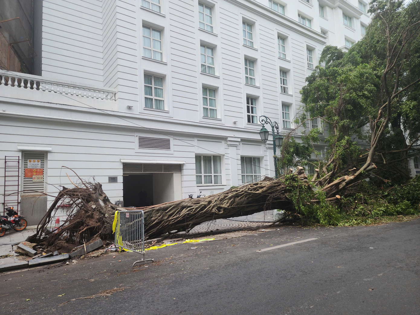 UBND quận chỉ đạo tập trung giải tỏa trước các cây nguy hiểm đến công trình nhà ở của nhân dân, trong các trường học và giải phóng các trục đường chính, tuyến đường đê liên thông.