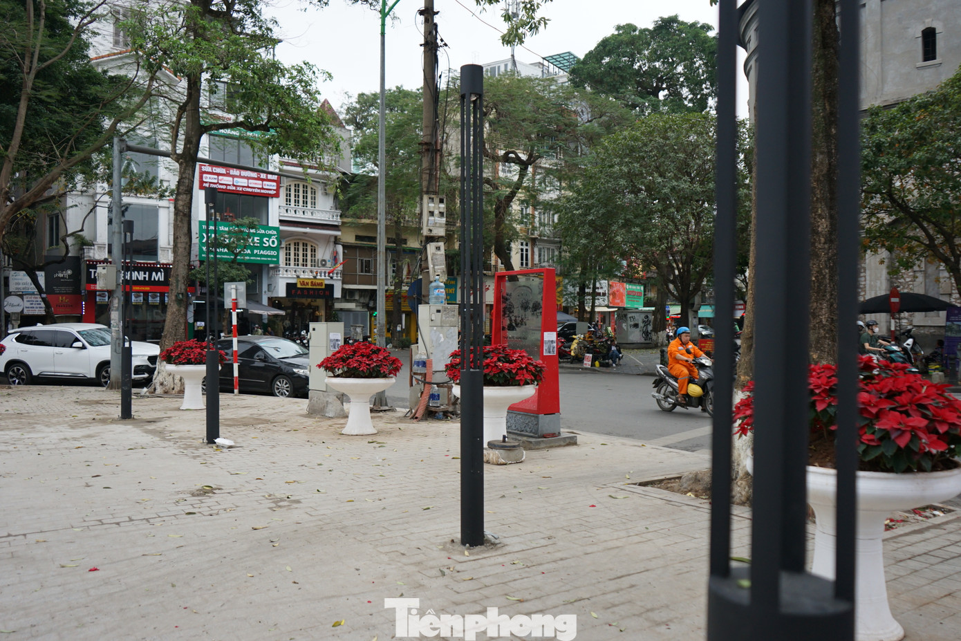 Hệ thống đèn trang trí xung quanh vườn hoa