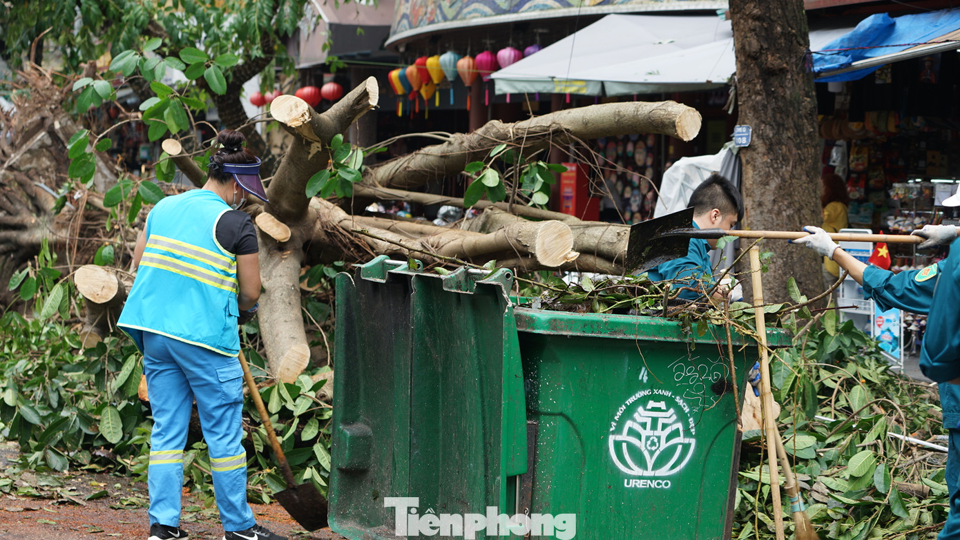 Công nhân Công ty TNHH MTV Môi trường đô thị Hà Nội (URENCO) hỗ trợ di chuyển cây xanh.