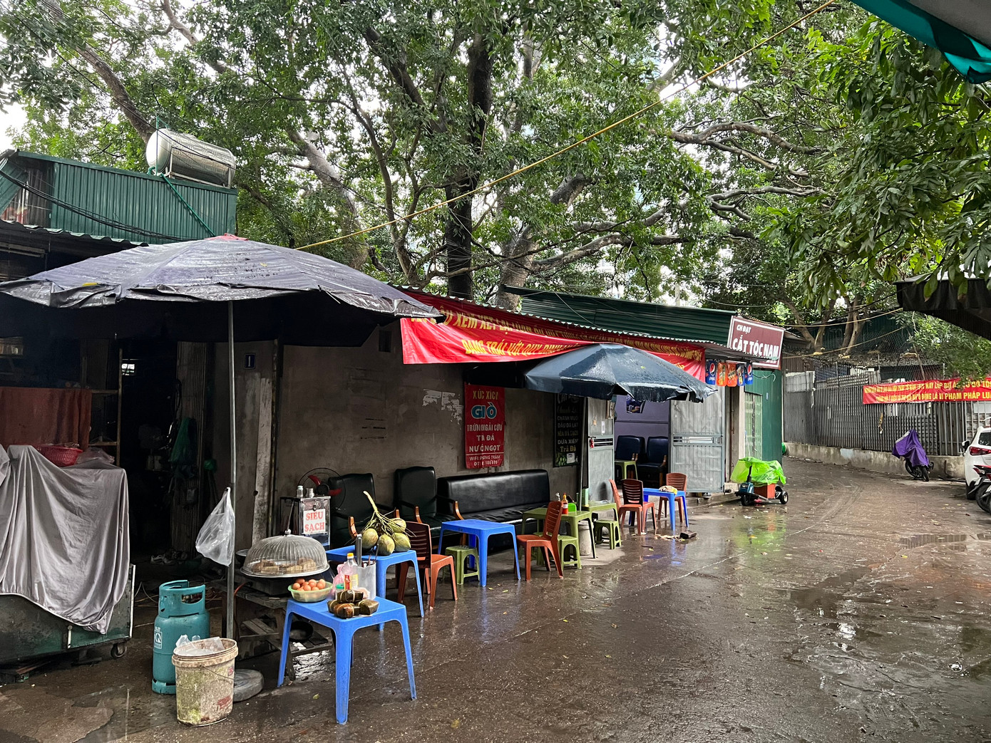 Nhiều hộ dân xây dựng nhà tạm, sinh sống xung quanh di tích Gò Đống Thây