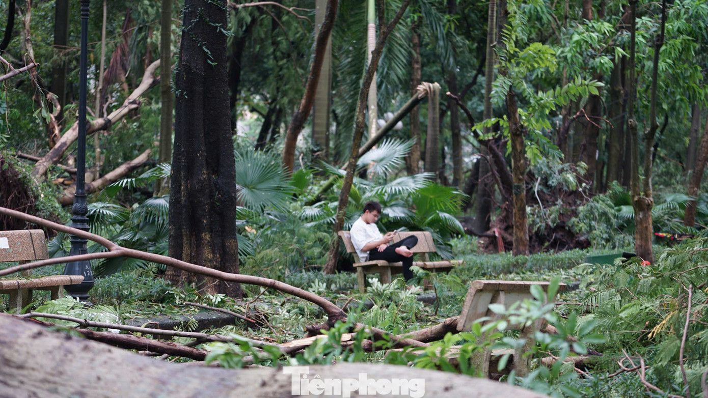 Khung cảnh bên trong không khác gì khu rừng, vô cùng ngổn ngang