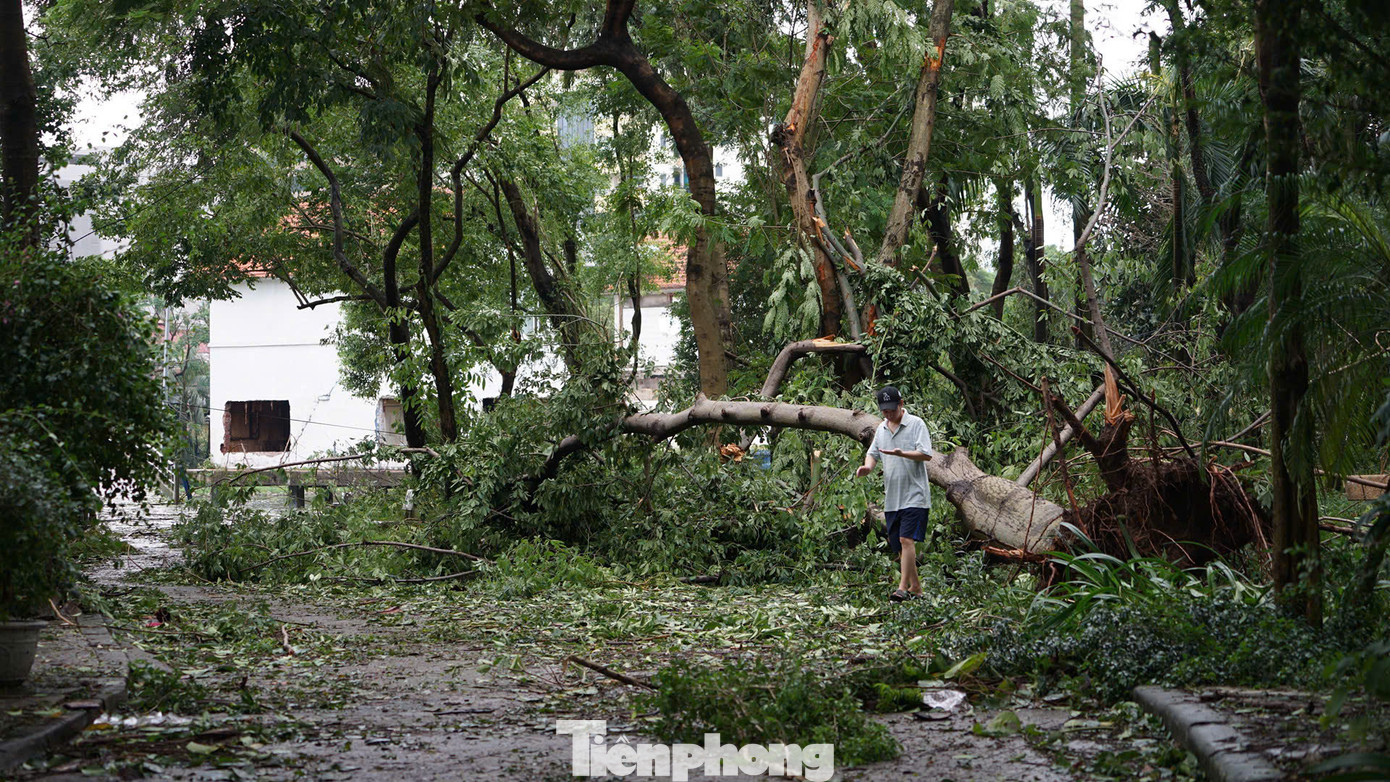 Một số người đi bộ tập thể dục phải len lỏi qua các cành cây ngã đổ