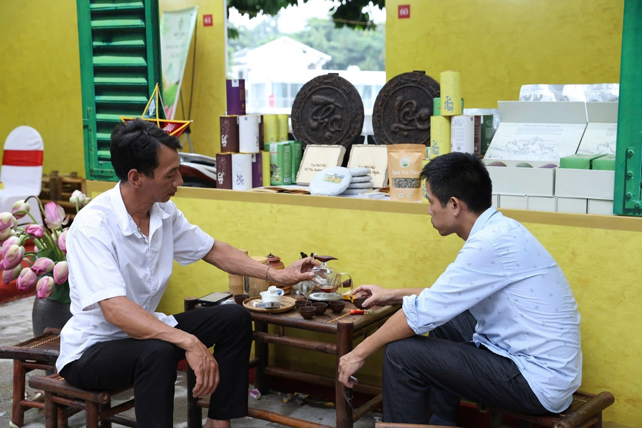 Một số người chọn ngồi thưởng trà sen.
