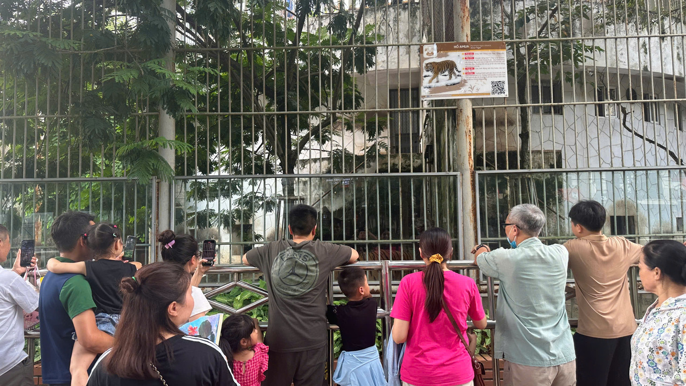 Lãnh đạo Công ty TNHH MTV Vườn thú Hà Nội cho biết, sáng 31/8 đã có nhiều du khách đến với vườn thú, đa số là các gia đình, ít khách đoàn