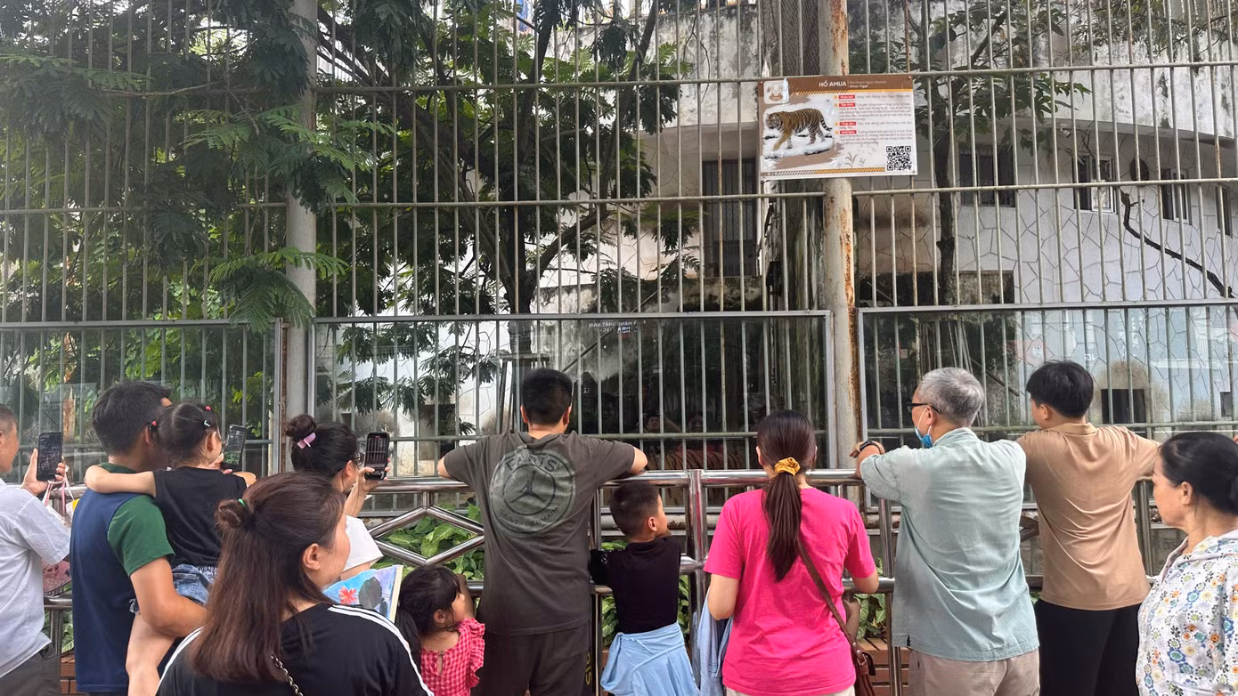 Lãnh đạo Công ty TNHH MTV Vườn thú Hà Nội cho biết, sáng 31/8 đã có nhiều du khách đến với vườn thú, đa số là các gia đình, ít khách đoàn