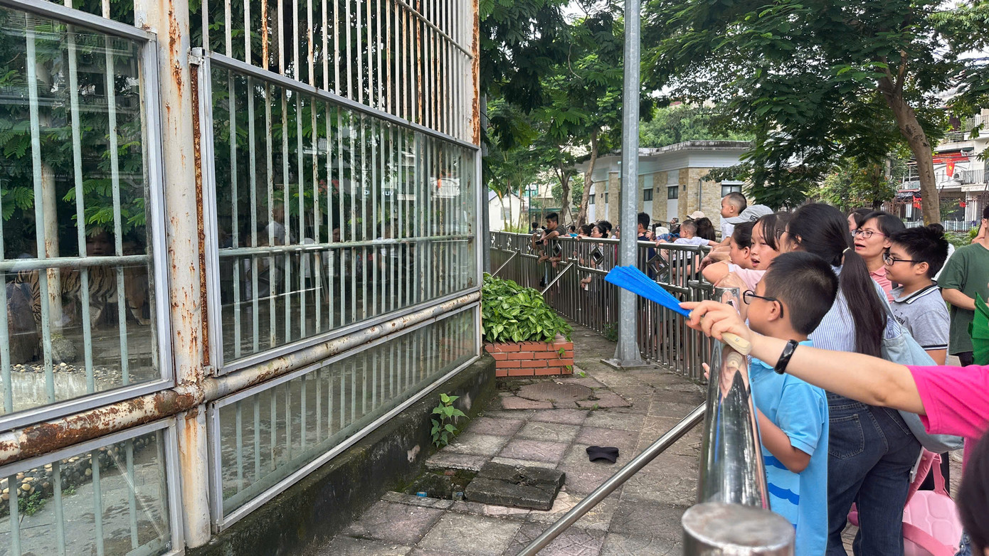 Hiện tại, giá vé vào Vườn bách thú Hà Nội là 30.000 đồng/vé người lớn và 20.000 đồng/vé trẻ em. Vườn bách thú mở cửa từ 8-18h hằng ngày.