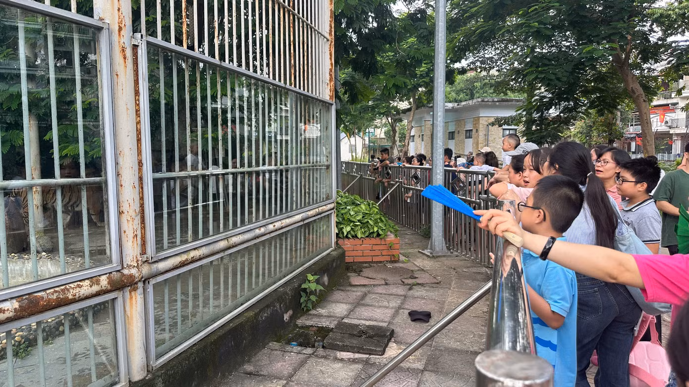 Hiện tại, giá vé vào Vườn bách thú Hà Nội là 30.000 đồng/vé người lớn và 20.000 đồng/vé trẻ em. Vườn bách thú mở cửa từ 8-18h hằng ngày.