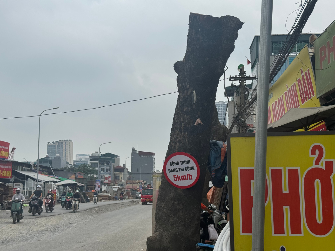 Tuy nhiên việc chặt hạ hàng cây xà cừ có tuổi đời hàng chục năm, gắn bó với cuộc sống của người dân khiến họ không khỏi tiếc nuối.