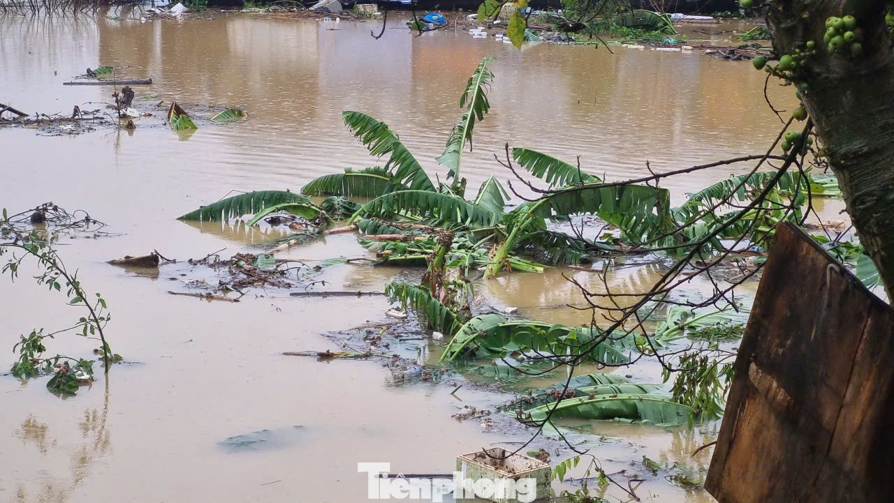 Toàn bộ người và tài sản của người dân bãi bồi đều được di dời ra nơi an toàn từ đêm qua