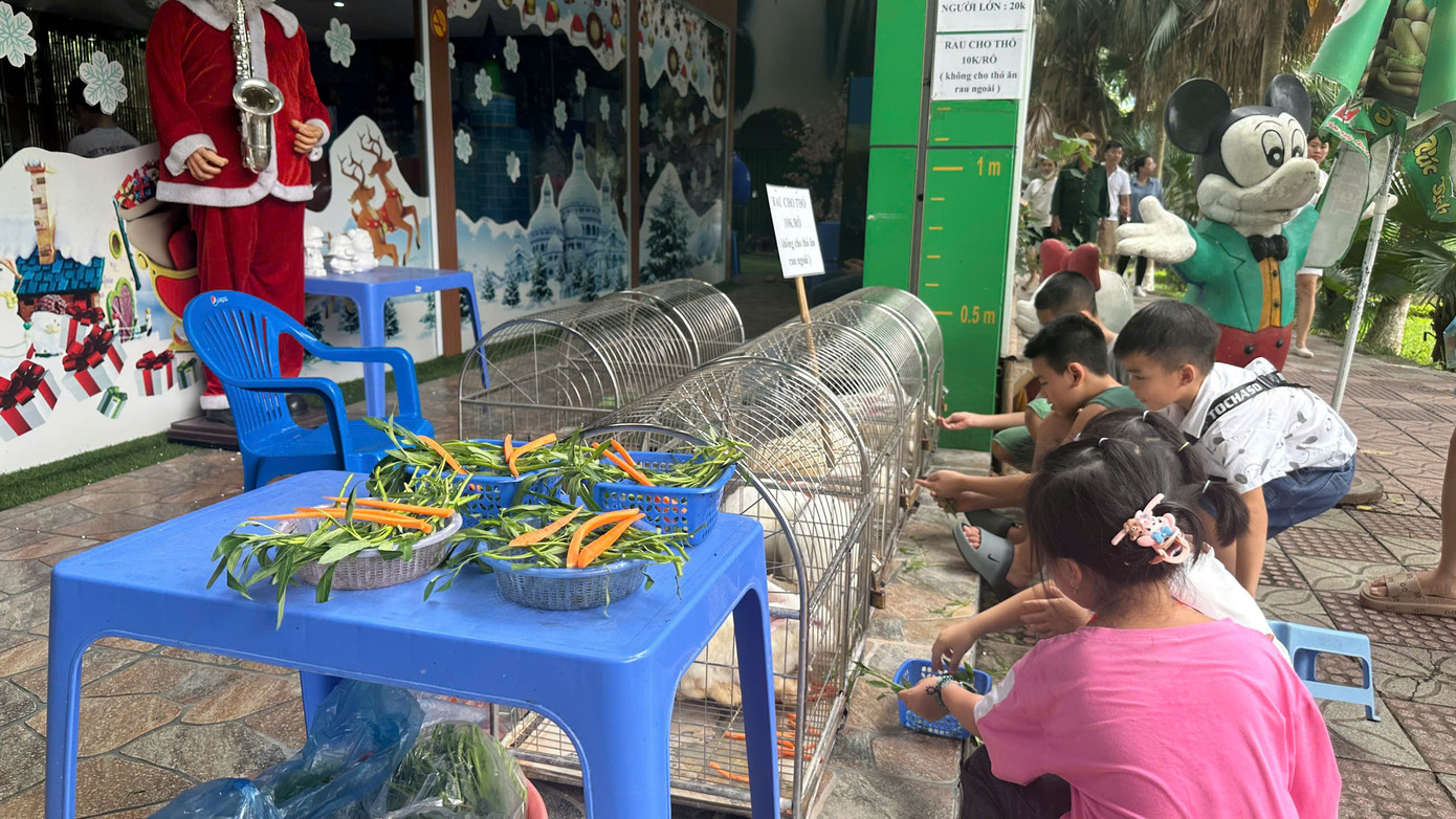 Khu vực bán đồ ăn cho hươu đặc biệt hấp dẫn các bạn nhỏ. Các bạn nhỏ được trải nghiệm cho hươu nai ăn trực tiếp