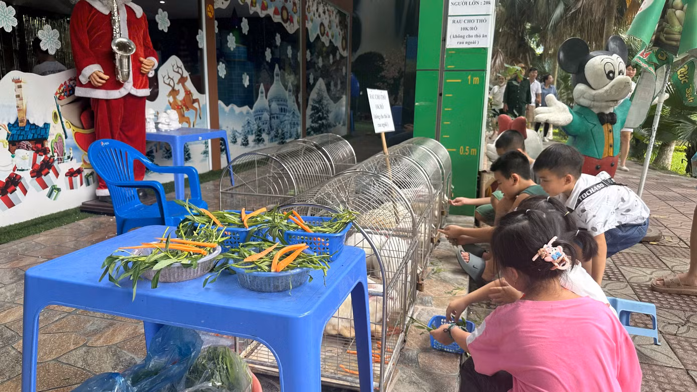 Khu vực bán đồ ăn cho hươu đặc biệt hấp dẫn các bạn nhỏ. Các bạn nhỏ được trải nghiệm cho hươu nai ăn trực tiếp