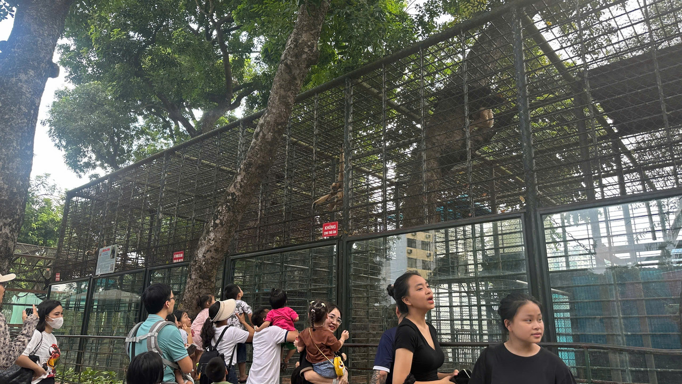 Chủ yếu khách đến vườn thú trong buổi sáng là các gia đình có con nhỏ