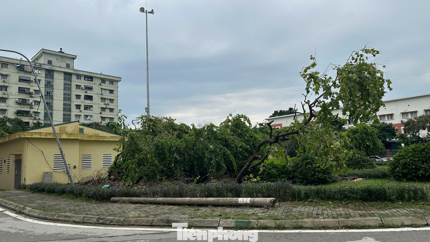 Khu đô thị Đồng Tàu (phường Thịnh Liệt, quận Hoàng Mai), cây đổ, cột điện đổ sau bão vẫn nằm trên đường Khu đô thị Đồng Tàu (phường Thịnh Liệt, quận Hoàng Mai), cây đổ, cột điện đổ sau bão vẫn nằm trên đường