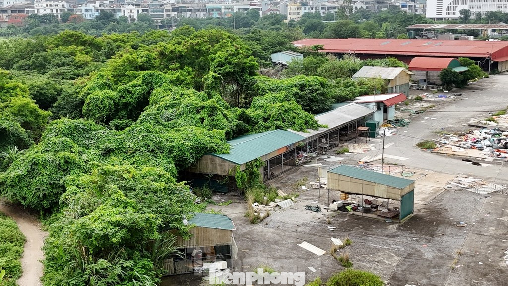 Hiện trạng dự án công viên Hà Đông đang bị bỏ hoang Hiện trạng dự án công viên Hà Đông đang bị bỏ hoang