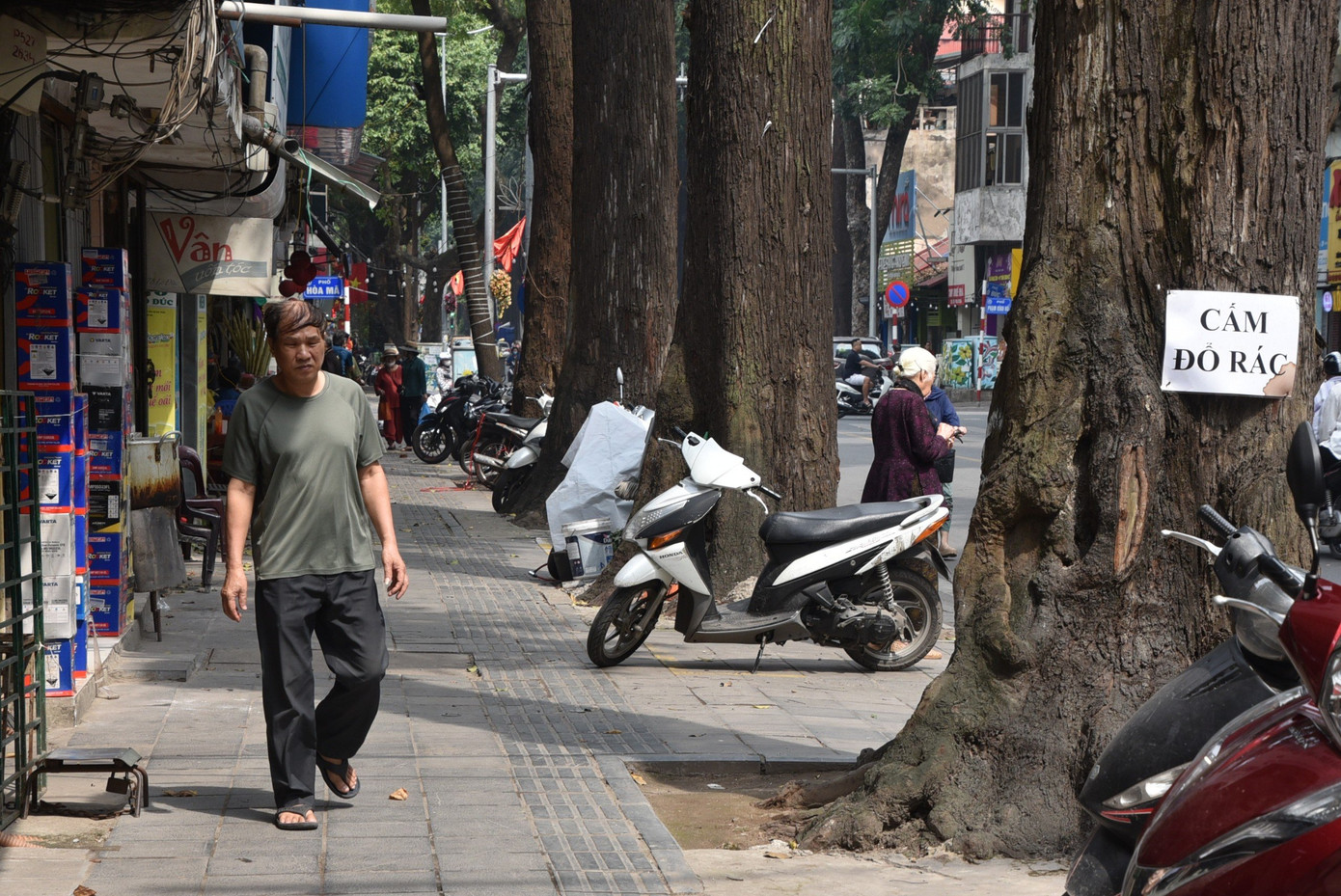 UBND phường Phạm Đình Hổ cho biết, đơn vị sẽ tiếp tục kiểm tra xử lý trường hợp cây xanh bị xâm hại (nếu có). Đồng thời, địa phương sẽ phối hợp với đơn vị liên quan rà soát lại các cây xanh trên địa bàn, tiến hành thay thế kịp thời những cây đã chết, bảo đảm an toàn cho người dân và mỹ quan đô thị.