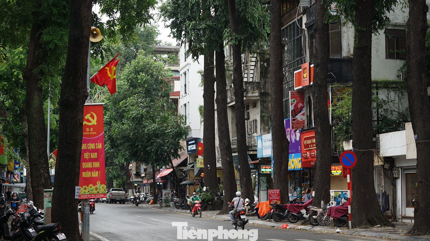 Nơi đây nổi tiếng với hàng cây Sao đen có tuổi đời hàng trăm năm. Cơn bão số 3 đã khiến một số cây sao đen trên phố Lò Đúc bị gãy. Đến ngày 15/9 đã khắc phục xong. Nơi đây nổi tiếng với hàng cây Sao đen có tuổi đời hàng trăm năm. Cơn bão số 3 đã khiến một số cây sao đen trên phố Lò Đúc bị gãy. Đến ngày 15/9 đã khắc phục xong.