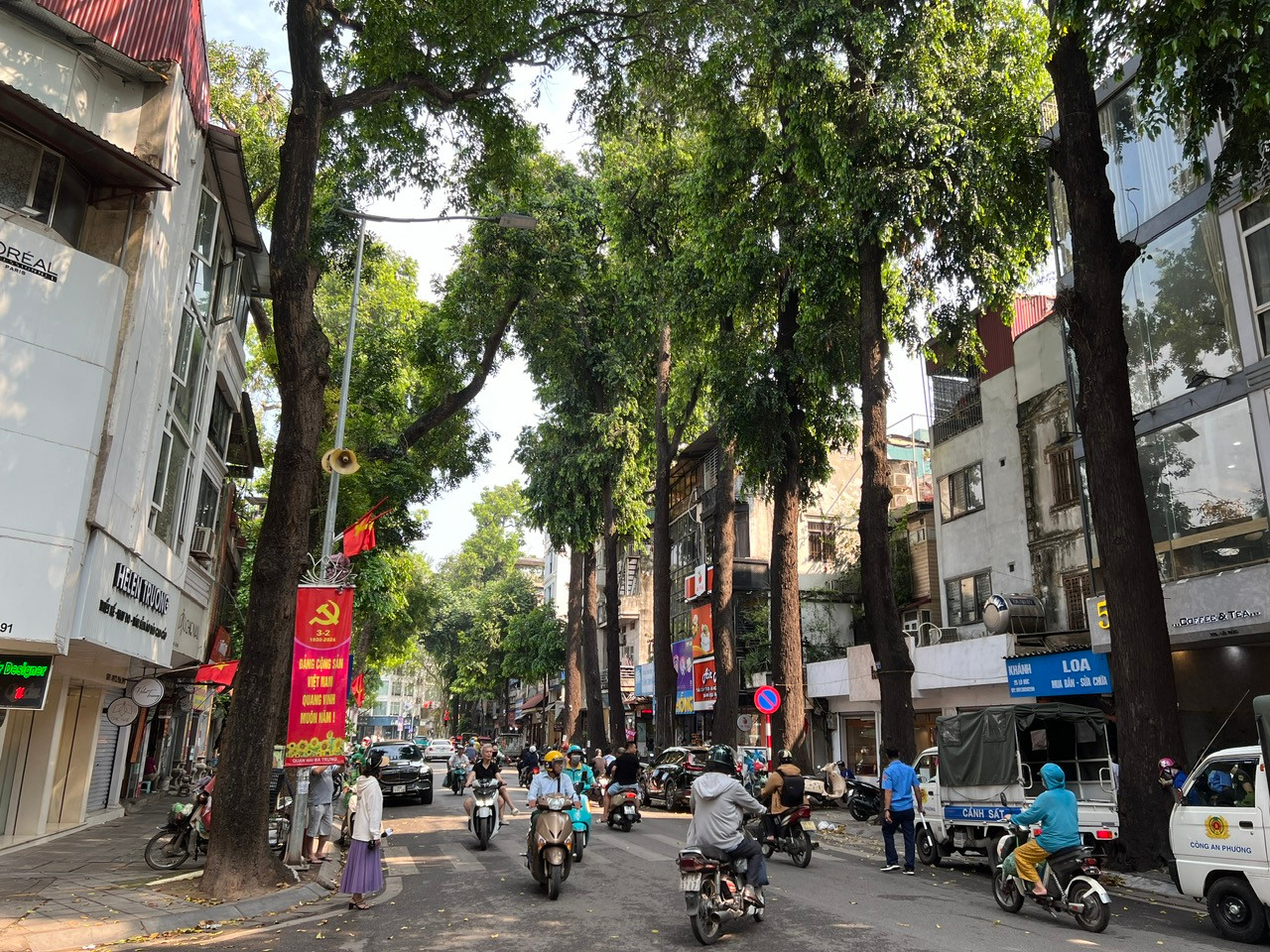 Tuyến phố Lò Đúc thuộc địa phận phường Phạm Đình Hổ, quận Hai Bà Trưng (Hà Nội) hiện có hơn 50 cây sao đen, được trồng cách nay hơn 100 năm; dáng cây to thẳng, lá xanh quanh năm, tạo nét đẹp đặc trưng cho tuyến phố này.