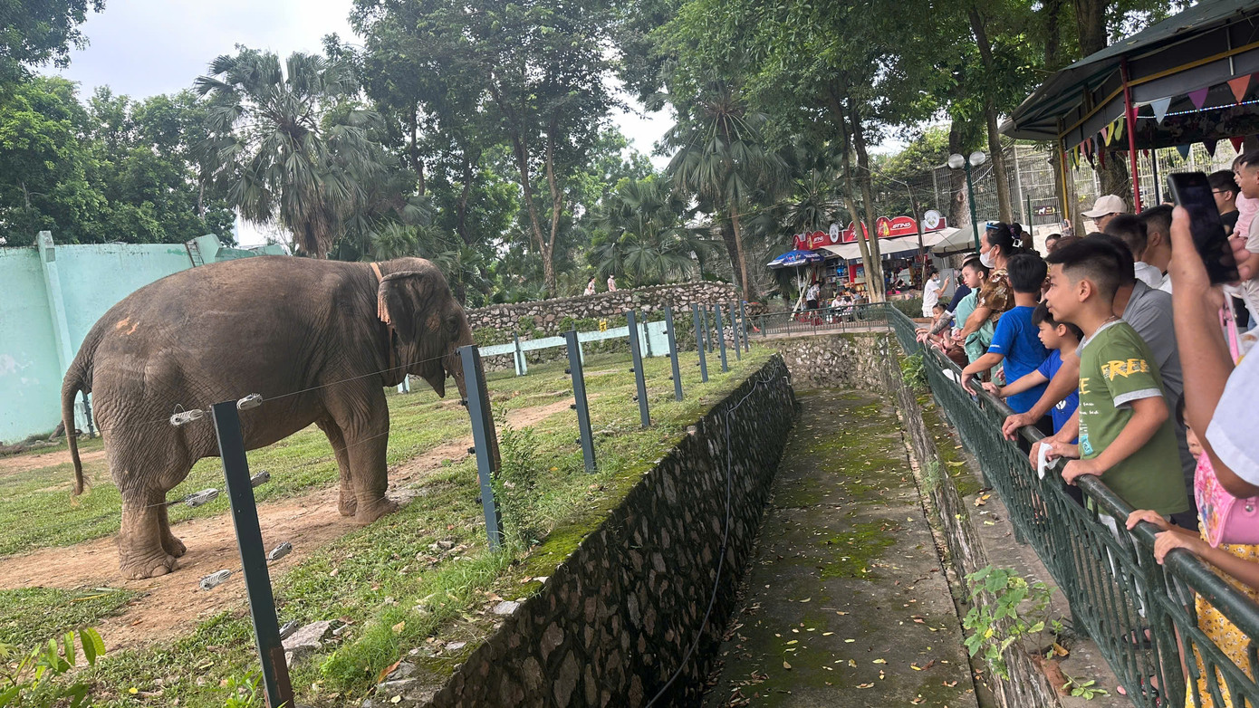 Khu vực nuôi voi là nơi thu hút nhất